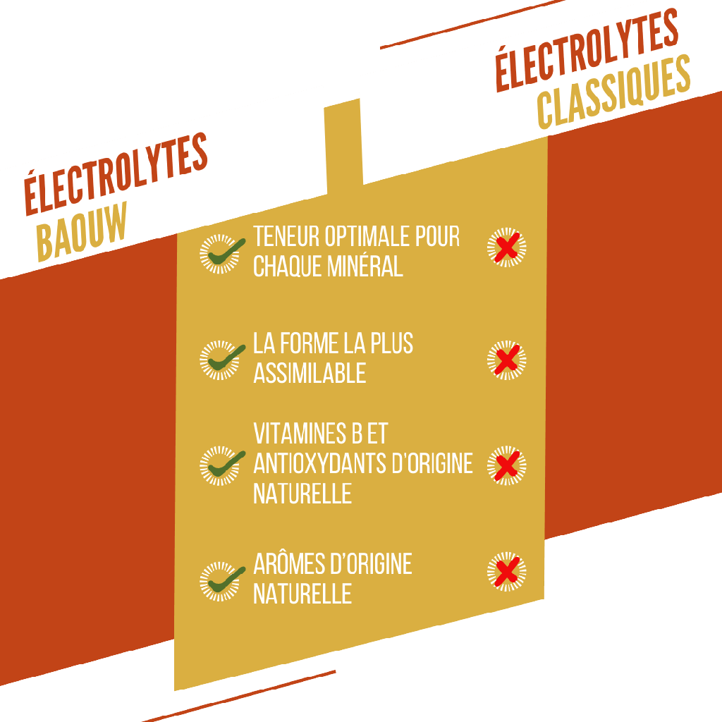 BAOUW - PASTILLES ELECTROLYTES - MANGUE / ANANAS