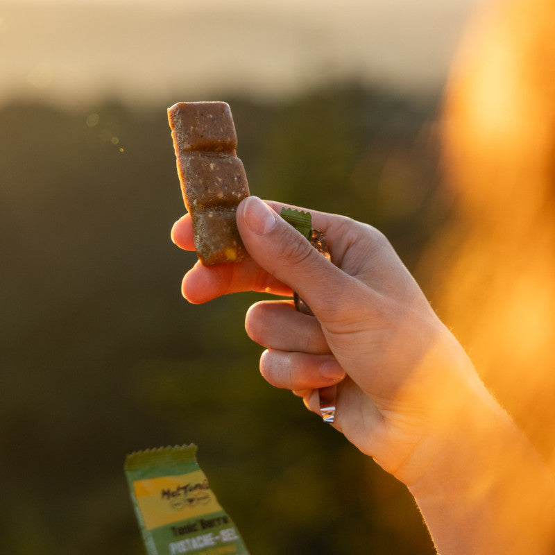 MELTONIC - BARRE ENERGETIQUE BIO - PISTACHE FLEUR DE SEL