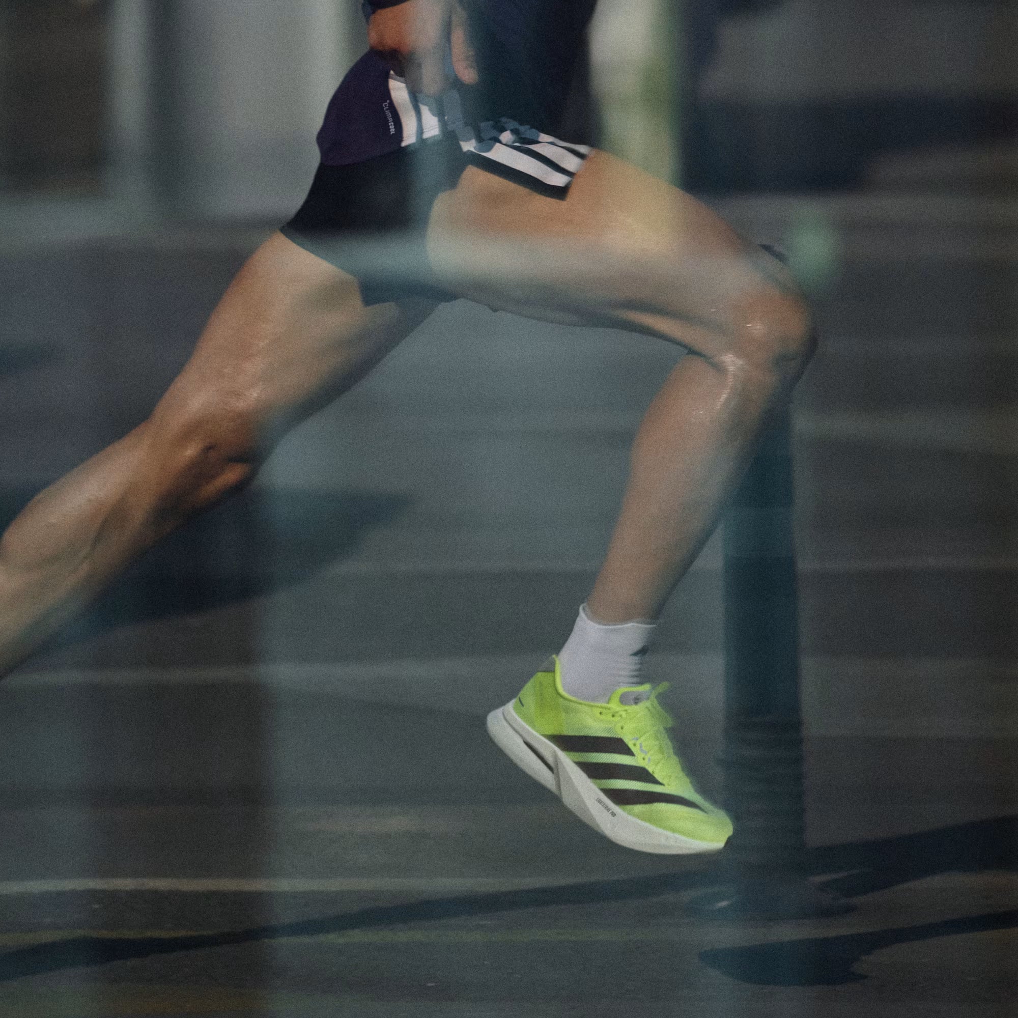 ADIDAS - ADIZERO BOSTON 13 - MEN