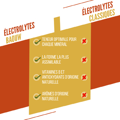 BAOUW - PASTILLES ELECTROLYTES - MANGUE / ANANAS
