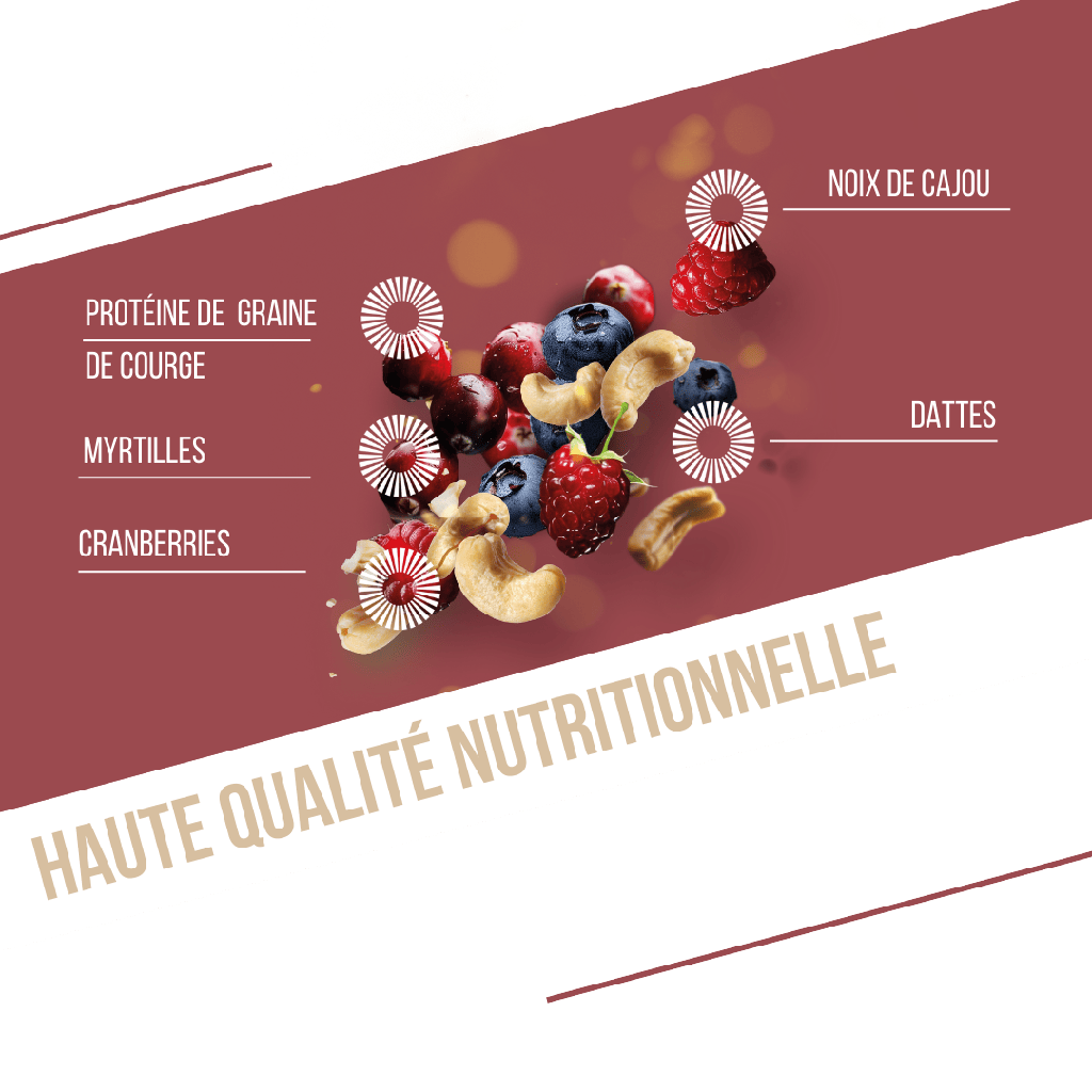 BAOUW - BARRE PROTÉINÉE FRUITS ROUGES CAJOU