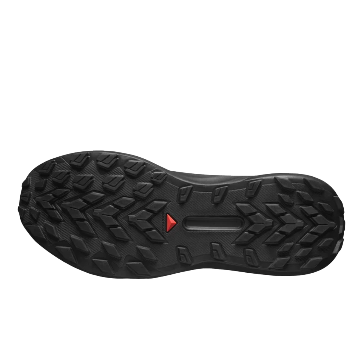 SALOMON - GENESIS - M